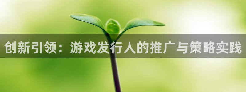 pp电子子市值