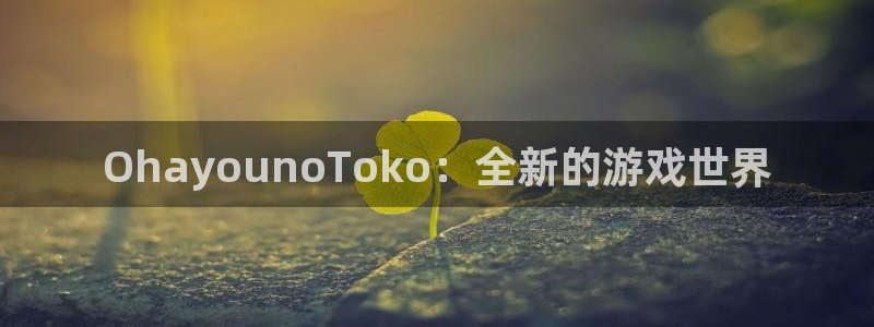 pp电子官网注册平台是什么公司：OhayounoToko：全新的游戏世界