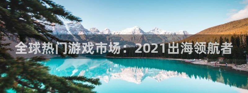 pp电子技术有限公司招聘