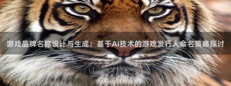 pp电子服装品牌怎么样：游戏品牌名称设计与生成：基于AI技术的游戏发行人命名策略探讨