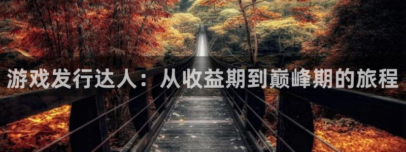 pp电子官网主管他494o3 主管：游戏发行达人：从收益期到巅峰期的旅程