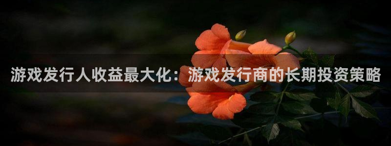 pp电子logo片头米高梅狮子：游戏发行人收益最大化：游戏发行商的长期投资策略