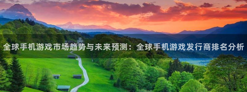 pp电子多少钱