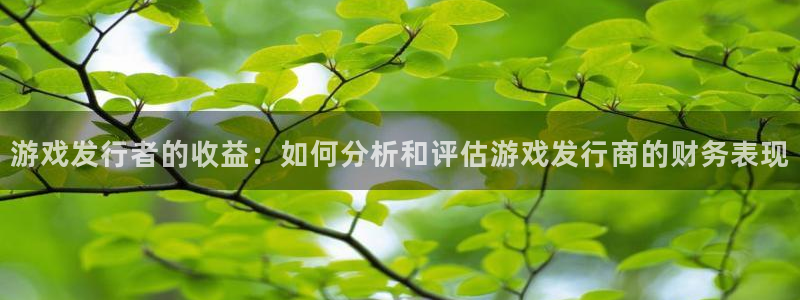 pp电子官网注册地址查询：游戏发行者的收益：如何分析和评估游戏发行商的财务表现