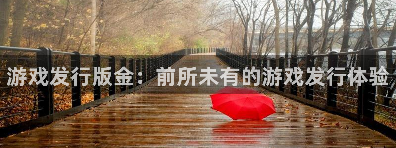 pp电子电子商务有限公司地址