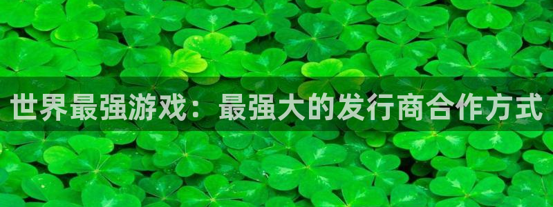 pp电子子出版社