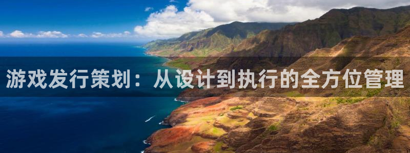 pp电子官网游戏怎么注册：游戏发行策划：从设计到执行的全方位管理