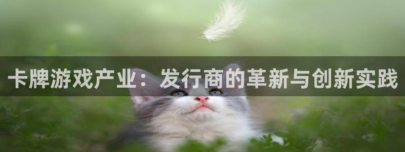 江苏pp电子人力资源有限公司怎么样：卡牌游戏产业：发行商的革新与创新实践