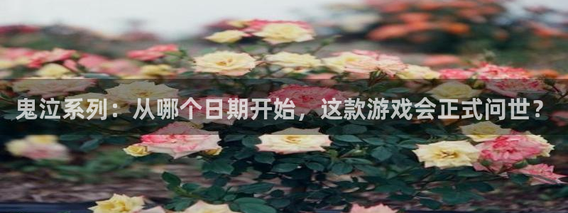 lvncespp电子衣服价格