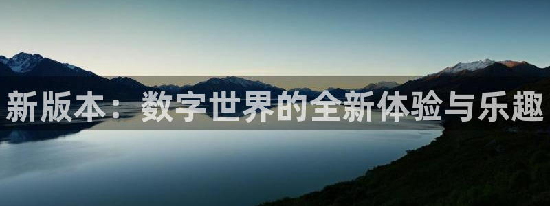 pp电子logo