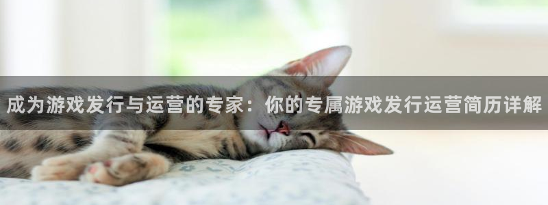 pp电子男装品牌