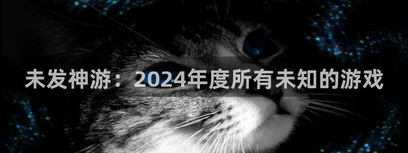 pp电子子签约作家