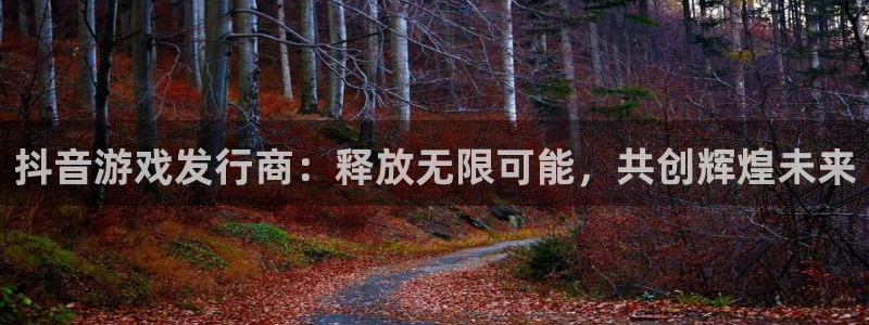 pp电子官网平台代理条件怎么样