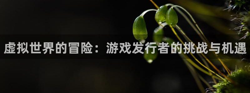 pp电子电子商务有限公司地址