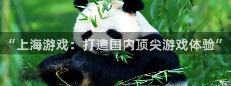 pp电子官网注册地址在哪里查询：“上海游戏：打造国内顶尖游戏体验”