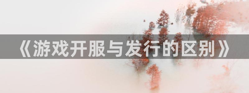 pp电子品牌logo：《游戏开服与发行的区别》