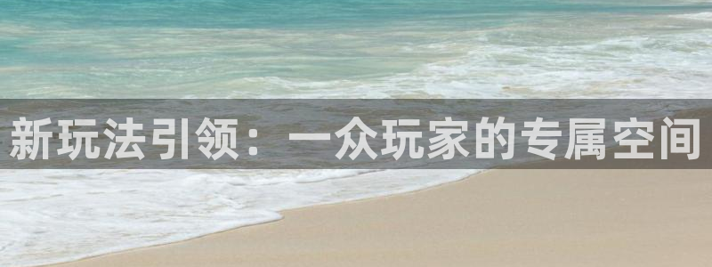 pp电子涂料(北京)有限公司