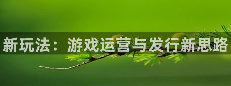 pp电子官网登录注册账号安全吗可靠吗